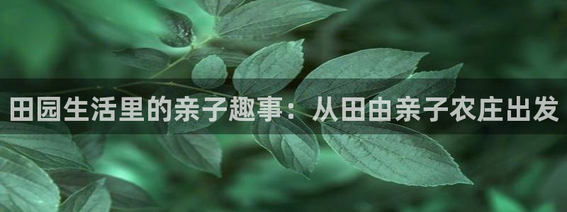 九游会旧版网址